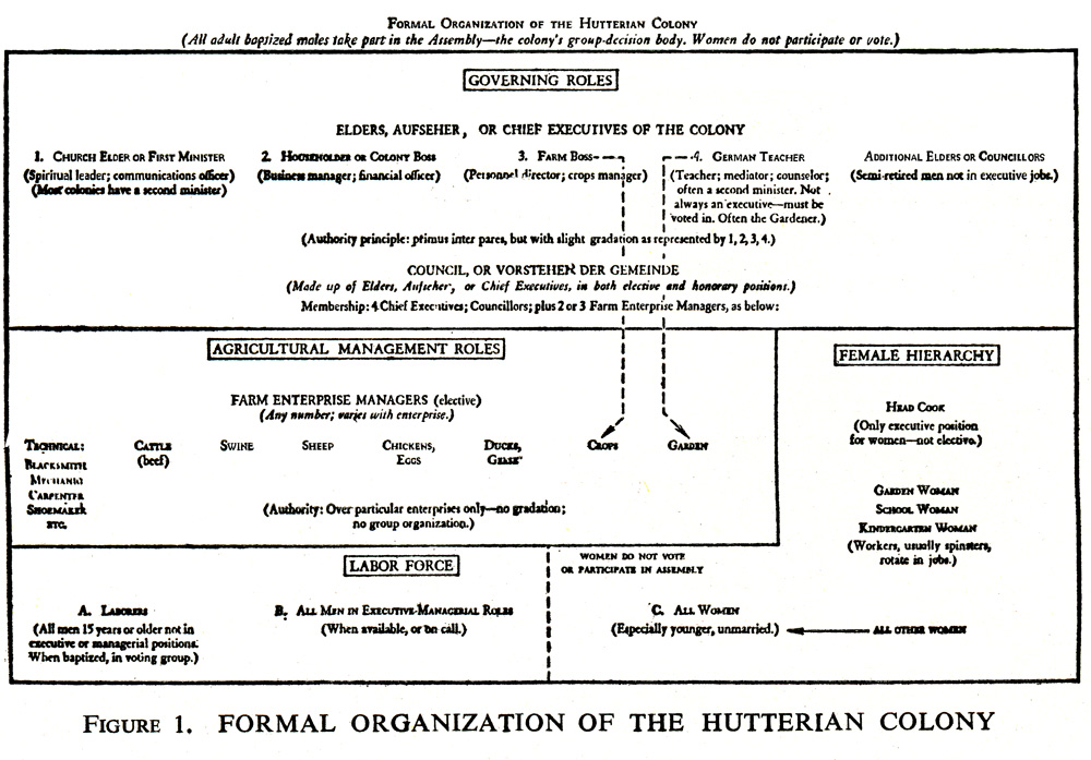 Formal Organization of
          Hutterian Colony